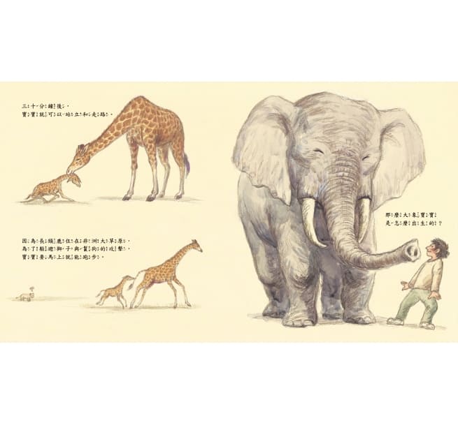 動物寶寶是怎麼出生的？